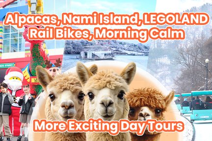 Alpaca World & Nami Island & Gangchon RailBike & Petite French Village & Legoland Tagestour