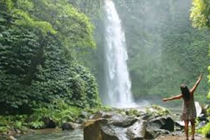 Nung Nung Waterfall Private Day Tour in Bali