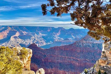 Excursión en autobús por el borde sur del Parque Nacional del Gran Cañón desde Las Vegas