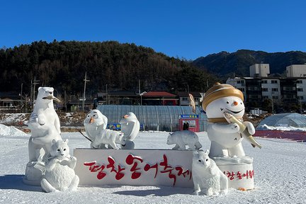 Daegwallyeong Sheep Farm: Everything You Need Before Visiting