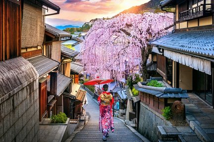 Osaka/Kyoto/Nara/Kobe/Wakayama Customized Tour