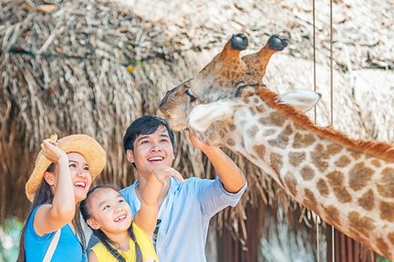 ヴィンパールサファリフーコック 入園チケット