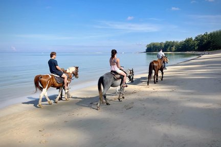 Phuket Beach Horseback Adventure