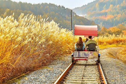 Nami Island & Eobi Ice Valley & Morning Calm & Alpaca& Seorak Frozen