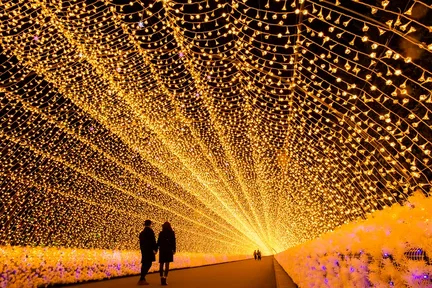 从大阪出发,开启佐仓与名花之里一日巴士之旅