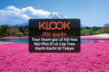 Tour Lễ Hội Hoa Núi Phú Sĩ, Cáp Treo và Hái Trái Cây từ Tokyo