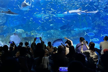 บัตรเข้าชมพิพิธภัณฑ์สัตว์น้ำ Coex Aquarium ในโซล