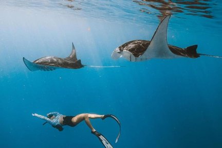 Manta Point Snorkeling and West Nusa Penida Tour 