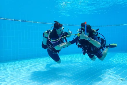 长滩岛 PADI 五星潜水中心水肺复习课程