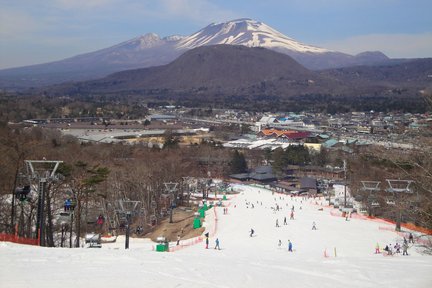 One-day skiing trip to Karuizawa | Karuizawa Prince Ski Resort | Departing from Tokyo by Shinkansen | Group of 1 person