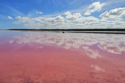 2 Day Pink Lake and Kalbarri Tour