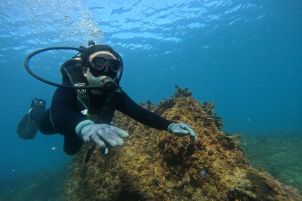 済州島 西帰浦 スキューバ体験