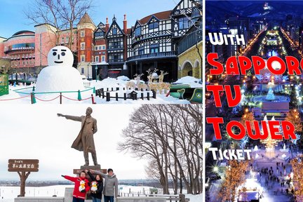 Sapporo Half-day Bus Tour and TV Tower Ticket (Multilingual Audio)