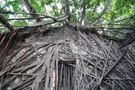 Anping Tree House Admission Ticket
