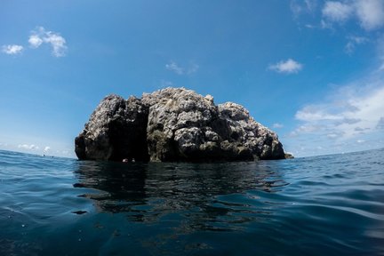 帕岸岛船帆石（Sail Rock）潜水体验（PADI五星级潜水中心）