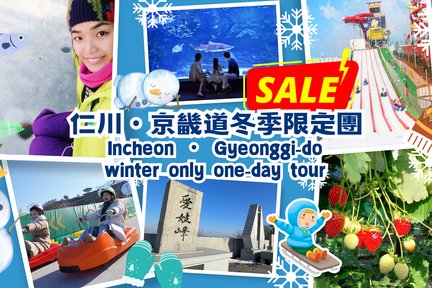 Incheon Ice Fishing & Sled Day Tour dari Seoul