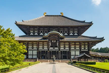 Nara Park & Kasugataisha Shrine Half-day Sightseeing Tour