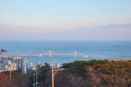 釜山夜景私人游