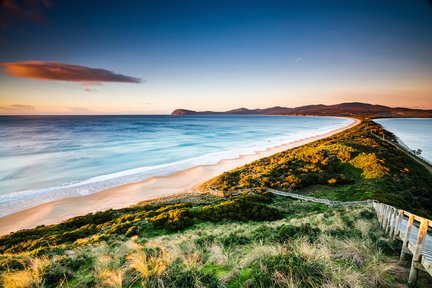 Excursion d'une journée à l'île Bruny au départ de Hobart