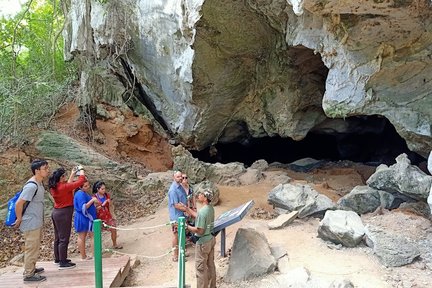 [Exclusivo de Klook] Crucero privado por los manglares del sendero BioGeo