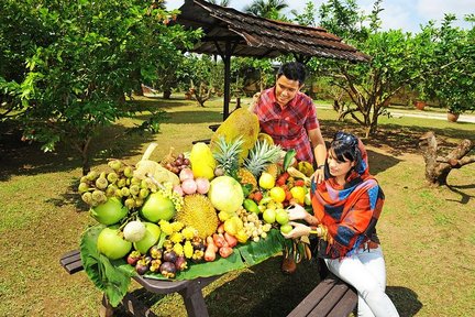 Geführte Tour durch die tropische Obstfarm von Penang