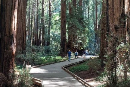 Lawatan Kumpulan Kecil ke Muir Woods & Sausalito dari San Francisco