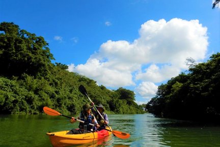 Tour en kayak por manglares en el río Hijya