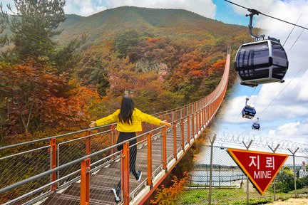 DMZ+(Optional) DMZ Gondola/Suspension Bridge/North Korean Defector