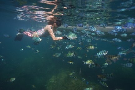 2 islas: excursión de un día a Roi y Mong Tay o May Rut