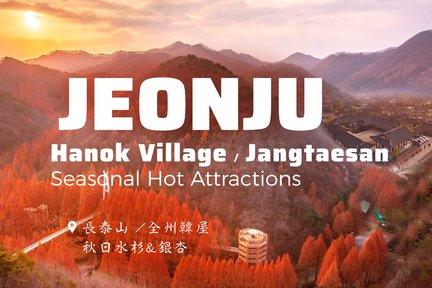 Tour del villaggio di Jeonju Hanok e Jangtaesan e Daedunsan da Seul