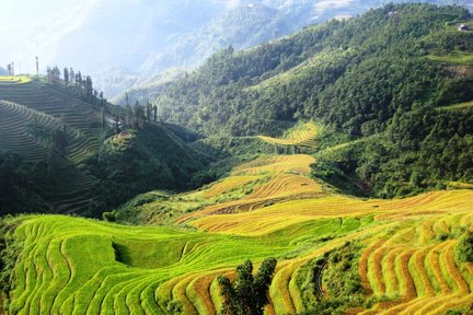 2D1N Sapa Tour Fanxipang Cable Car or Ham Rong Mountain (optional)