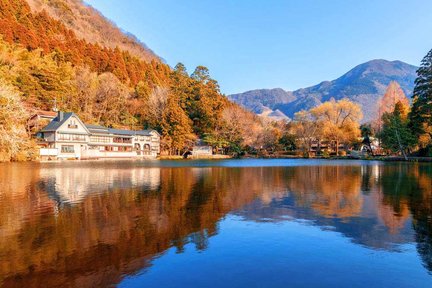 Kyūshū | Zoo naturel d'Oita Kyushu / Source chaude Beppu Haijigoku / Yufuin / Lac Kinrinko Visite personnalisée d'une journée