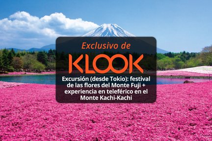 Tour del Festival de las Flores del Monte Fuji con experiencia en teleférico desde Tokio