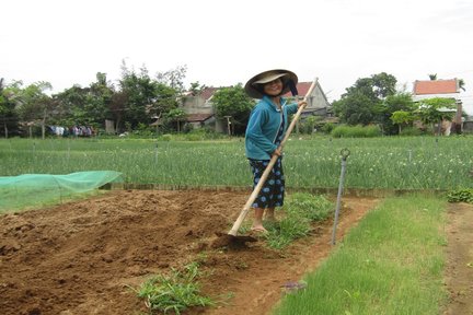 Tra Que Village, Thanh Ha Töpferdorf und Kokosnusswald-Landtour mit Aodai Rider