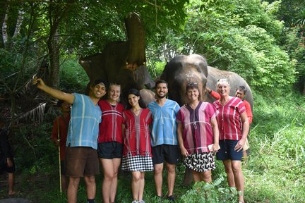  Elephant Discovery Experience in Chiang Mai with Transfers 