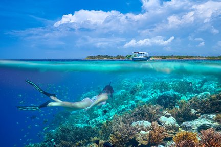 Excursion privée d'une journée à Gili Trawangan à Lombok