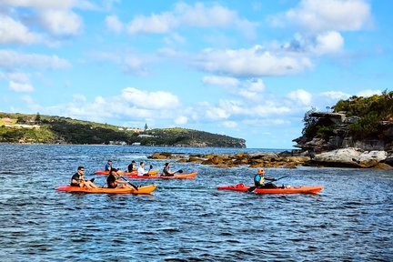 Lawatan Berkayak di Manly Cove