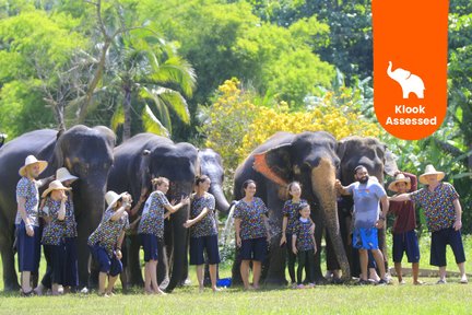 Kanta-Elefanten-Halbtagestour ab Chiang Mai