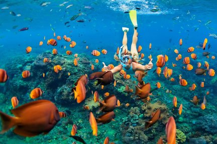 Snorkeling Blue Lagoon With Guide & Lunch 