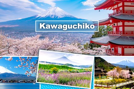 Excursión de un día a lugares panorámicos del monte Fuji y el lago Kawaguchi desde Tokio