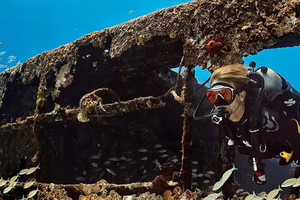 比斯坎湾关键挑战:PADI 高级潜水员 5* 潜水中心