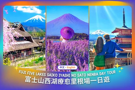 【富士山西湖古村之旅】新仓山五重塔&忍野八海&河口湖大石公园&西湖疗愈里根场一日游(东京出发)