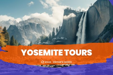 Open Trip atau Private Tour di Yosemite National Park