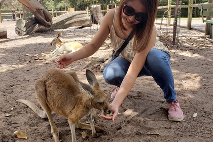 Visita guiada de un día a lo más destacado de la ciudad y al parque de vida silvestre desde Perth