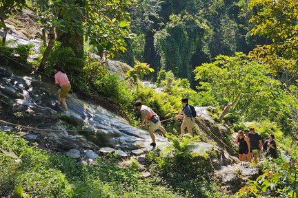 Participez au voyage à la cascade collante de Chaingmai