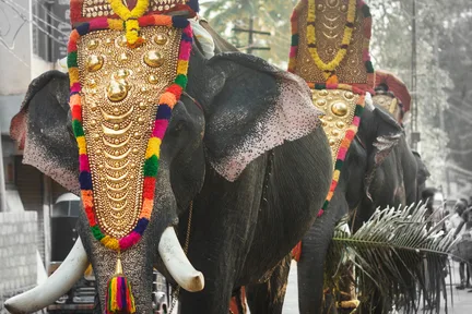 From Cochin: Fort Kochi Same Day Tour with Dutch Palace