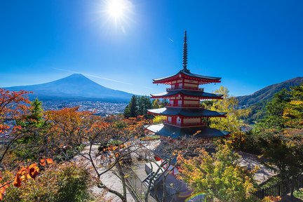 富士吉田｜新仓山浅间公园＆日川时计店＆忍野八海＆罗森河口湖站前店一日游｜东京出发