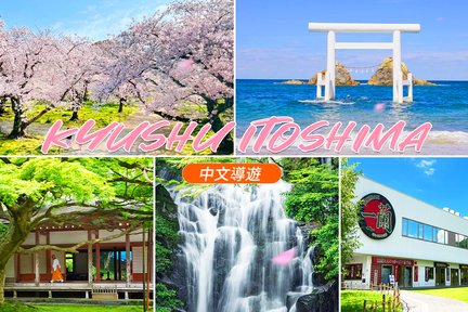 Kyushu Itoshima｜Thác Shiraito, Đền Raizan Senjoji, Rừng mì Ichiran, Sakurai Futamigaura, Tour một ngày Meotoiwa｜Khởi hành từ Fukuoka