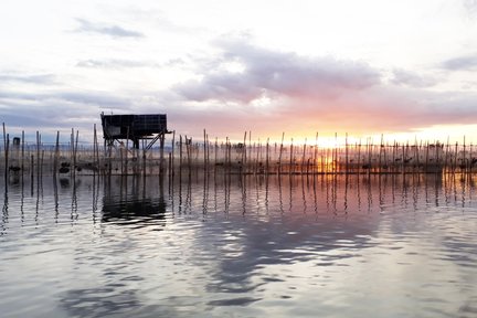 Lawatan Peribadi Sehari ke Thuy Bieu Village dan Tam Giang Lagoon