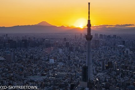 Tokyo Panoramic 1 Day: Meiji Shrine, Asakusa, Odaiba and SKYTREE® 